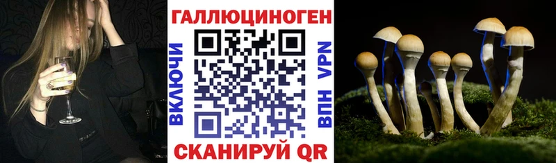 сколько стоит  Рославль  Псилоцибиновые грибы Cubensis 